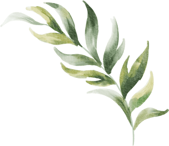 leaf 1 1